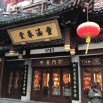 Full-Day Shanghai Museum Jinmao Tower Xintiandi Private Tour - Who Will Benefit Most?