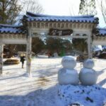 Full Day Strawberry Picking and Rail Bike in Nami Island - Exploring the Itinerary in Detail
