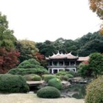 Full Day Tokyo Chartered Taxi Tour - In-Depth Breakdown of the Itinerary