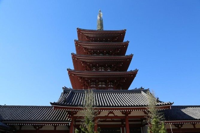 Full Day Tokyo Chartered Taxi Tour From Narita - Practical Details and Insights