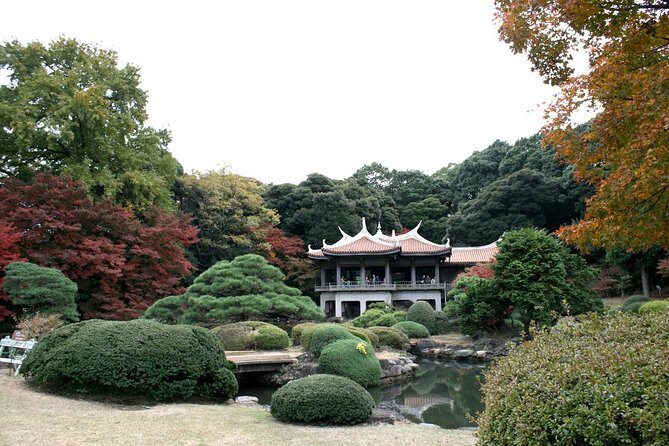 Full Day Tokyo Chartered Taxi Tour - In-Depth Breakdown of the Itinerary