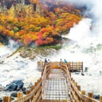 Full Day Tour in Hokkaido and Lake Toya from Sapporo - Bear Sanctuary Experience