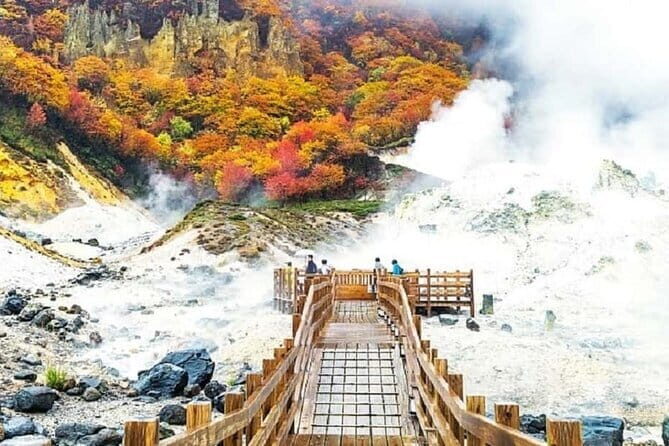 Full Day Tour in Hokkaido and Lake Toya from Sapporo - Bear Sanctuary Experience