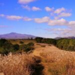 Full Day Tour In Jeju Island - East of Jeju (included admission) - Who will love this tour?