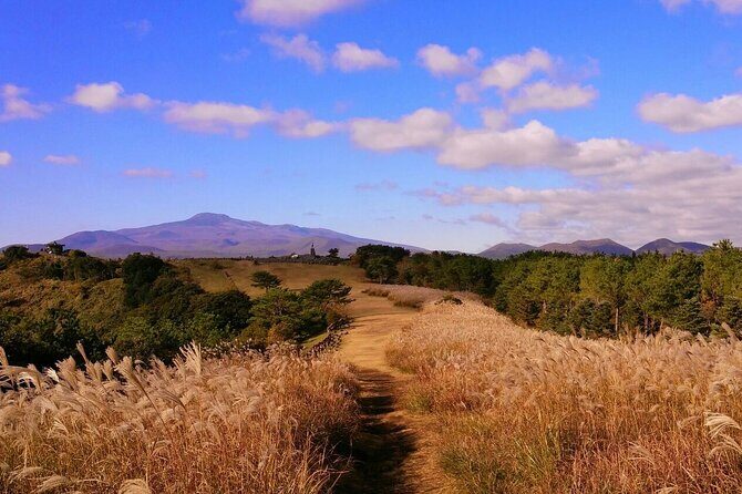 Full Day Tour In Jeju Island - East of Jeju (included admission) - Who will love this tour?