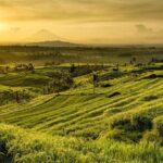 Full Day Tour of Tabanan - Tanah Lot Temple: Bali’s Sunset Icon