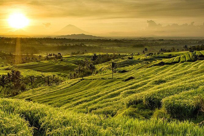 Full Day Tour of Tabanan - Tanah Lot Temple: Bali’s Sunset Icon