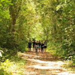 Full Day Trekking Cat Ba National Park, Viet Hai Village, biking - Who Would Love This Tour?