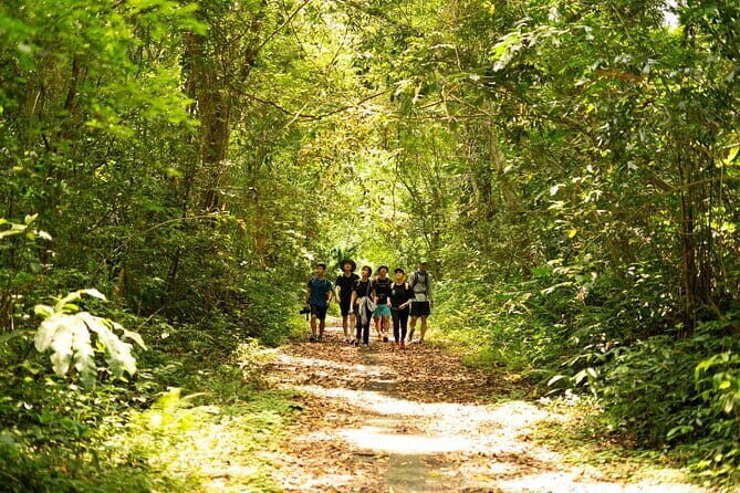Full Day Trekking Cat Ba National Park, Viet Hai Village, biking - Who Would Love This Tour?