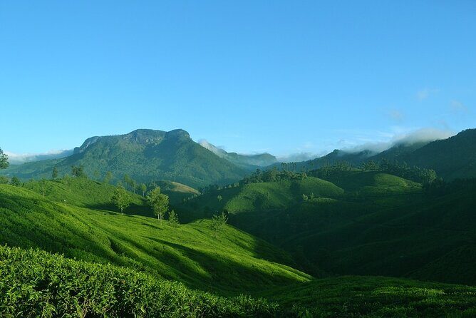 Full Day Trekking Tour In Munnar - Practical Considerations and Tips