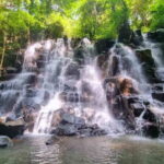 Full Day Ubud Tour Waterfall Monkey Forest Rice Terrace - What’s Included and What’s Not