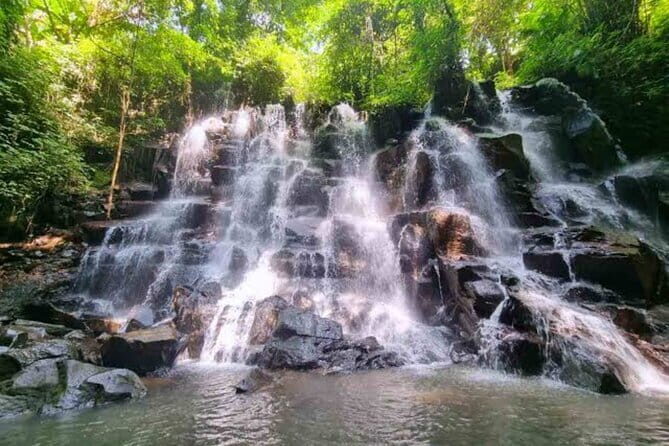 Full Day Ubud Tour Waterfall Monkey Forest Rice Terrace - What’s Included and What’s Not