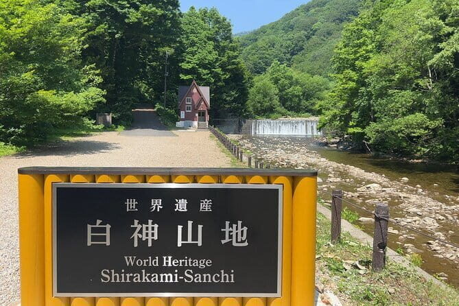 Full Day World Heritage Shirakami Mountains Hiking Tour - Practical Details and What to Expect