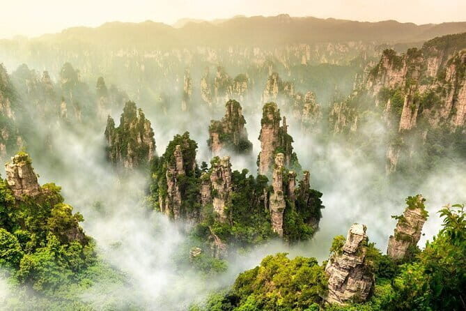 Full-Day Zhangjiajie National Forest Park Tour - Detailed Breakdown of the Tour Experience