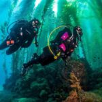 Fun Dives For Certified Divers - The Sum Up