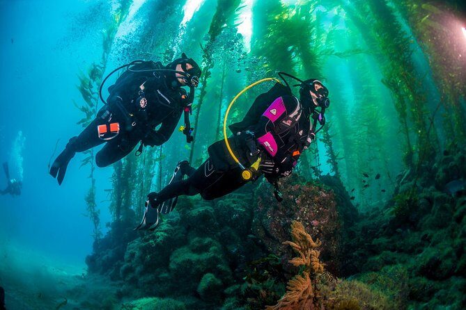 Fun Dives For Certified Divers - The Sum Up