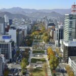 Furano & Biei Customised Private Day Tour (Up to 15 Pax/9 Hours) - How Does It Compare in Value?