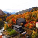 Furano & Biei Customised Private Day Tour (Up to 8 Pax / 9 Hours) - Who Will Love This Tour?
