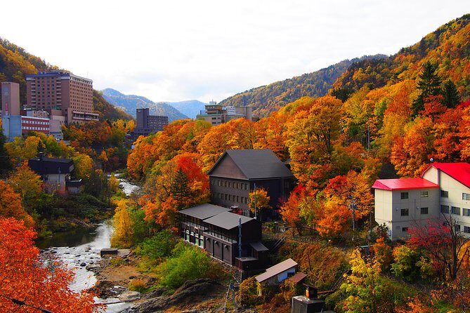 Furano & Biei Customised Private Day Tour (Up to 8 Pax / 9 Hours) - Who Will Love This Tour?