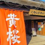 Fushimi Cherry Blossom and Sake Brewery Tour - Is this Tour Worth It?