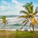 Galle & Bentota Day Tour with River safari From Colombo & Negombo - Practical Insights for Travelers