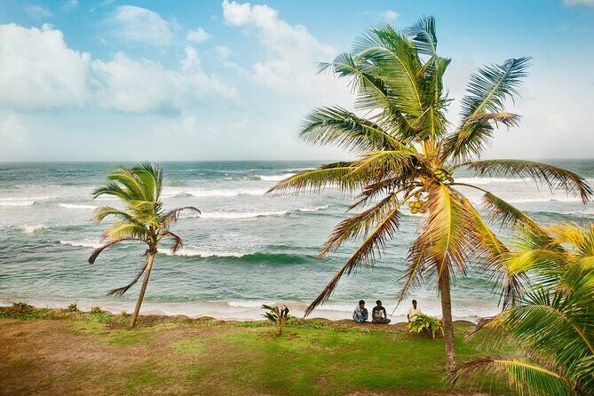 Galle & Bentota Day Tour with River safari From Colombo & Negombo - Practical Insights for Travelers
