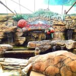 Genting Highland Day Trip Include 2-way Cable Car Tickets - The Scenic Cable Car Experience and Chin Swee Caves