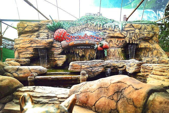 Genting Highland Day Trip Include 2-way Cable Car Tickets - The Scenic Cable Car Experience and Chin Swee Caves