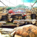 Genting Highlands Day Tour - The Itinerary Breakdown: What to Expect on the Day