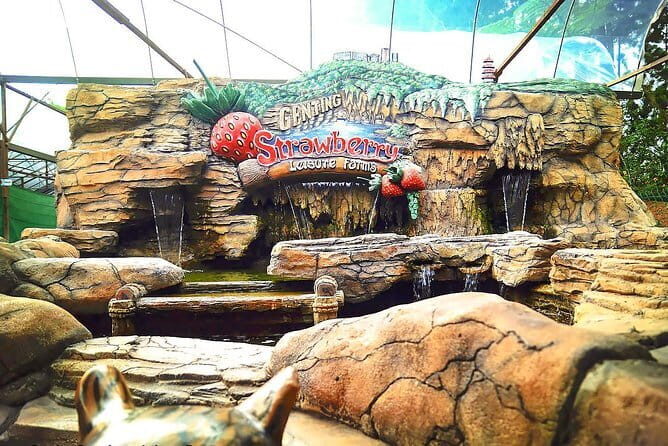 Genting Tour & Batu Caves Tour Include 2-way Cable Car Ride - Summing Up: Who Is This Tour Best For?