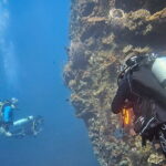 Get SSI Nitrox Certified Includes 2 Liberty Wreck Dives - The Sum Up