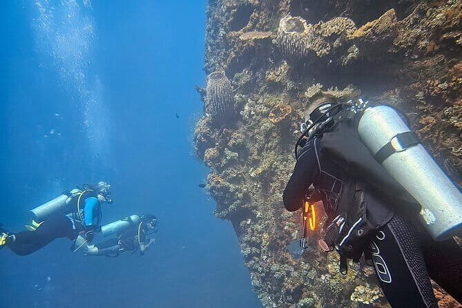 Get SSI Nitrox Certified Includes 2 Liberty Wreck Dives - The Sum Up