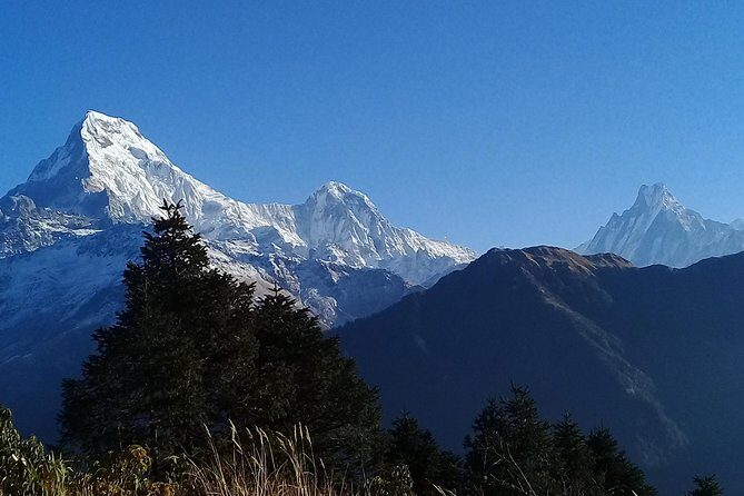 Ghorepani Poon Hill Trek: a classic trek in Nepal - Analyzing the Cost and Value