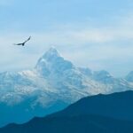 Ghorepani Poonhill Trek - What’s Included and What to Consider