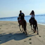 Gili Air 1 Hour Horseback Beach Adventure - The Ride Experience
