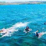 Gili Islands Day Tour and Snorkeling at Turtle Points - Analyzing the Value and Experience