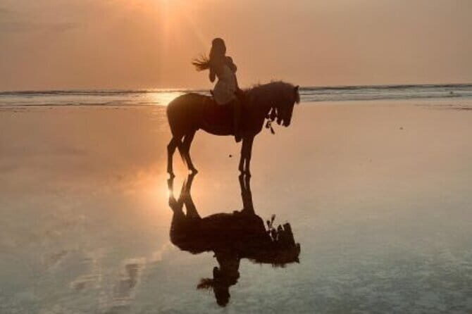 Gili Trawangan Beach Horseback Riding with Pickup Hotel - The Guides and Experience Quality