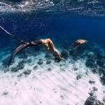 Gili Trawangan Snorkeling with Turtles & Underwater Statue - Practical Aspects and Value