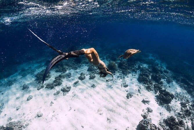 Gili Trawangan Snorkeling with Turtles & Underwater Statue - Practical Aspects and Value