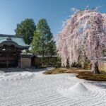 Gion and Kiyomizu Temple Tour to enjoy Kyoto in a short time - Who Is This Tour Best For?