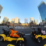 Go Karting Tokyo Bay Experience | 9 Top Destinations in 120 Mins - What Makes This Tour Stand Out?