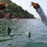 Goa Scuba Diving at Grand Island Join Tour - The Value for Money