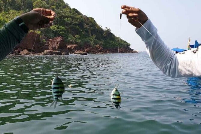 Goa Scuba Diving at Grand Island Join Tour - The Value for Money