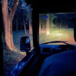 Goa to Anshi National Park, Extension to Wildlife Safari Tour - Practical Details & Insights