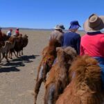 Gobi Tour May 2019 02-07 June - Authenticity and Practicalities
