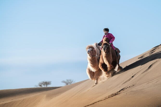 Gobi tour Mongolia 7 Days - Authentic Experiences and Practical Insights