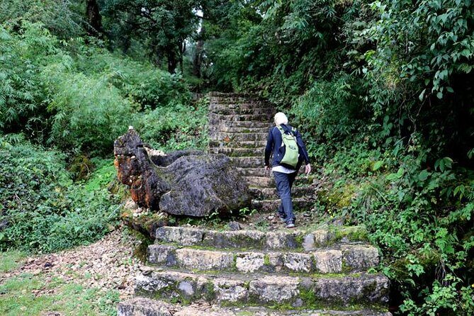 Godavari to Fulchoki Day Hike Near Kathmandu - Who Will Love This Tour?