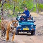 Golden Triangle & Tigers (Delhi-Agra-Jaipur-Ranthambore National Park) - What We Love About This Tour