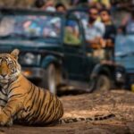 Golden Triangle Tour with Ranthambore (5 Star Hotel) - Analyzing the Value: Is It Worth It?