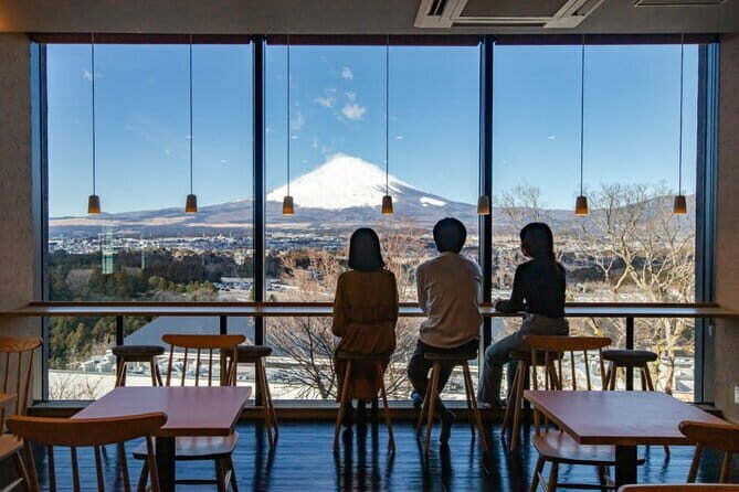 Gotemba Premium Outlets and Konohana no Yu Private Tour - A Closer Look at the Itinerary